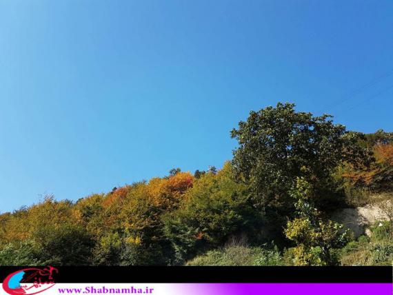 شبنم ها , afkl ih, طبیعت زیبای شمال, پاییز گیلان