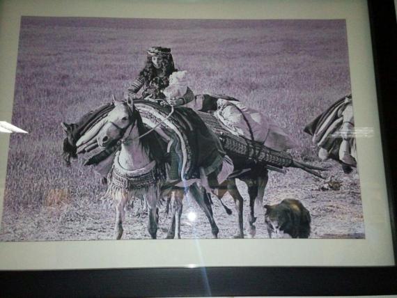 شبنم ها, shabnamha, مرتضی پور صمدی, عکس عشایری, afkl ih, shabnamha.ir