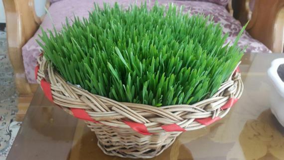 shabnamha.ir , shabnamha , afkl ih , شبنم همدان , شبنم ها , اقتصاد مقاومتی; 