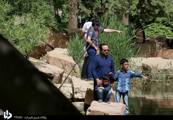 باغ ارم,شیراز,باغ گیاه شناسی,بهارنارنج,گل رز,گلهای رنگارنگ,اردیبهشت شیراز,shabnamha.ir,شبنم همدان,afkl ih,شبنم ها