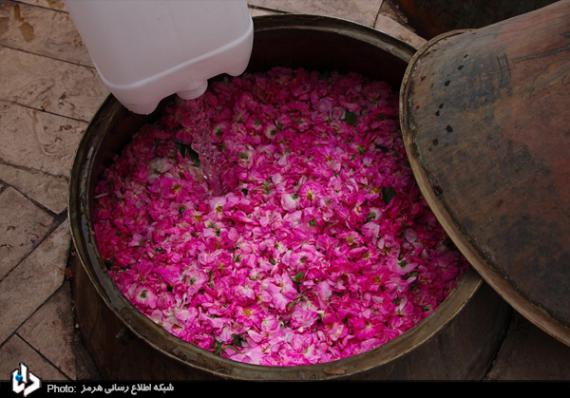ابیانه,روستای ابیانه,کاشان,روستای رنگی,shabnamha.ir,شبنم همدان,afkl ih,شبنم ها