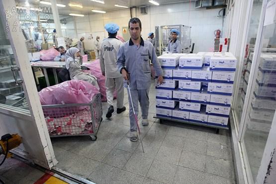  شرکت فیروز,کارآفرینی برای معلولان,اشتغال معلولان,کارآفرین برتر,کانون معلولین توانا,متفاوت ترین کارخانه دنیا,shabnamha.ir,شبنم همدان,afkl ih,شبنم ها