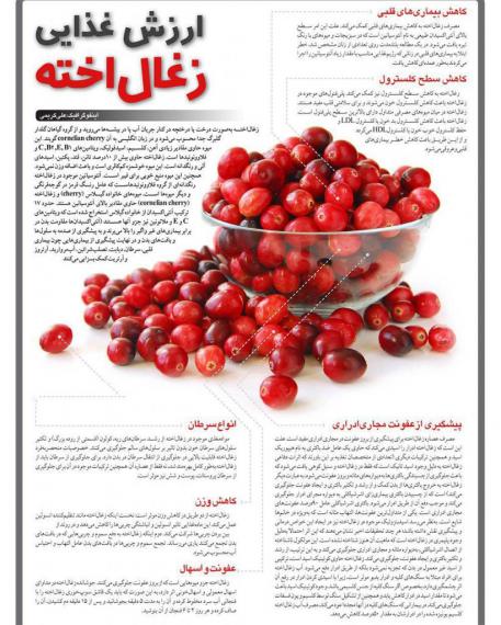 زغال اخته,کاهش وزن,لاغری,دفع سنگ کلیه,shabnamha.ir,شبنم همدان,afkl ih,شبنم ها