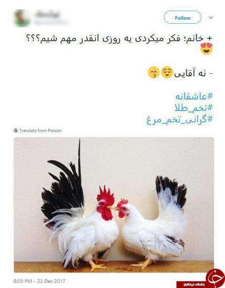 تخم مرغ,گرانی تخم مرغ,واکنش طنز کاربران,shabnamha.ir,شبنم همدان,afkl ih,شبنم ها; 