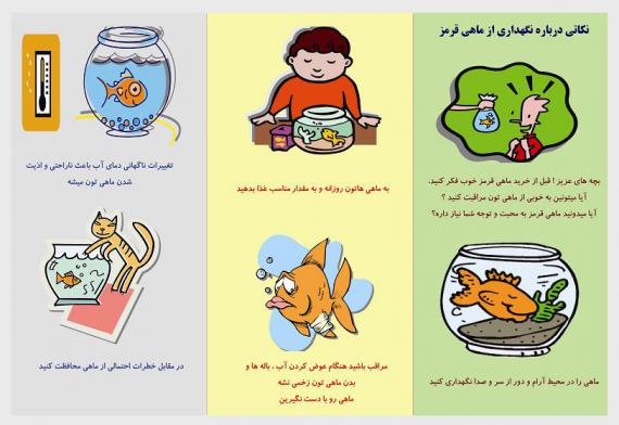 ماهی قرمز,نگهداری از ماهی قرمز,تنگ ماهی,shabnamha.ir,شبنم همدان,afkl ih,شبنم ها; 