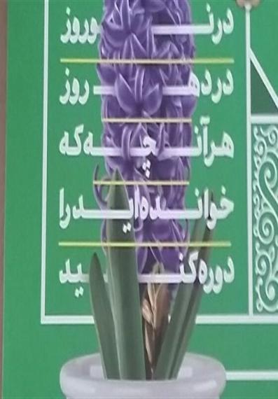 داستان خوانی,داستان نویسی,عیدانه,آموزش و پرورشshabnamha.ir,شبنم همدان; 