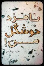 کتاب,نامزد خوشگل من,حمید داود آبادی