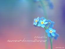 ماه شبعان, اعمال مستحبی,فضیلت