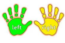 تفاوت "چپ دست" و "راست دست" بودن  راست دست,چپ دست,شیوه بیان,نیمکره راست,نیمکره چپ,shabnamha.ir,شبنم همدان,afkl ih,شبنم ها