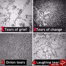 ساختار اشک در حسهای مختلف ساختار اشک,اشک انسان,مولکولهای اشک,shabnamha.ir,شبنم همدان,afkl ih,شبنم ها