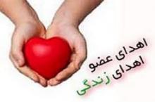 اهدای عضو,اهدای قلب,مرگ مغزی,shabnamha.ir,شبنم همدان,afkl ih,شبنم ها