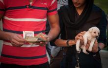 همزیستی انسان با حیوانات خلا عاطفی,زنگ هشدار,نگهداری از سگ,معنویت گرایی,همنشینی با حیواناتshabnamha.ir,شبنم همدان,afkl ih,شبنم ها