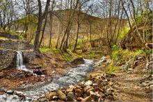 ایران‌زمین,جنگل جیغ,مشهد مقدس,طرقبه,روستای سربرج,shabnamha.ir,شبنم همدان,afkl ih,شبنم ها; 