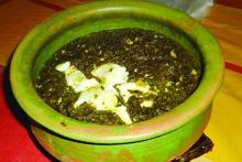 خورشت ترشه تره,خورشت شمالی,غذای گیلانی,خورش,shabnamha.ir,شبنم همدان,afkl ih,شبنم ها; 