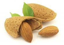 قاووت,بادم و نبات,درمان افسردگی,بهبود خواب,بادام شیرین,shabnamha.ir,شبنم همدان,afkl ih,شبنم ها; 