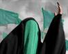 سپردن ودیعه امامت به یک زن توسط امام حسین(ع) 
