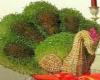 هنر در خانه,آموزش,سبزه عید,سبزه به شکل قو,shabnamha.ir,شبنم همدان,afkl ih,شبنم ها