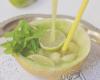 موهیتو طالبی,رسپی موهیتو,طرز تهیه نوشیدنی,موهیتو,نوشیدنی برای تابستان,نوشیدنی تابستانی,نوشیدنی موهیتو,shabnamha.ir,شبنم همدان,afkl ih,شبنم ها