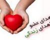 اهدای عضو,اهدای قلب,مرگ مغزی,shabnamha.ir,شبنم همدان,afkl ih,شبنم ها
