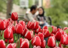نامزدی ، دوران نامزدی ، مرجع تقلید ، مراجع تقلید ، فقه ، فقه شیعه ، احکام اسلام ، احکام اسلامی ، زن در اسلام ، خانواده در اسلام ، زن مسلمان ، زنان مسلمان ، اسلام نامزدی ، دوران نامزدی ، مرجع تقلید ، مراجع تقلید ، فقه ، فقه شیعه ، احکام اسلام ، احکام اسلامی ، زن در اسلام ، خانواده در اسلام ، زن مسلمان ، زنان مسلمان ، اسلام