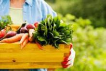 مواد غذایی فوق العاده برای افزایش عشق و محبت مواد غذایی فوق العاده برای افزایش عشق و محبت